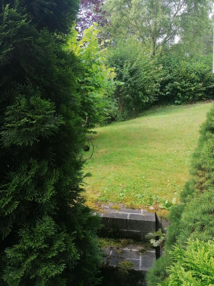 Fewo Grenzenlos In Ramsberg Pleinfeld Exteriör bild